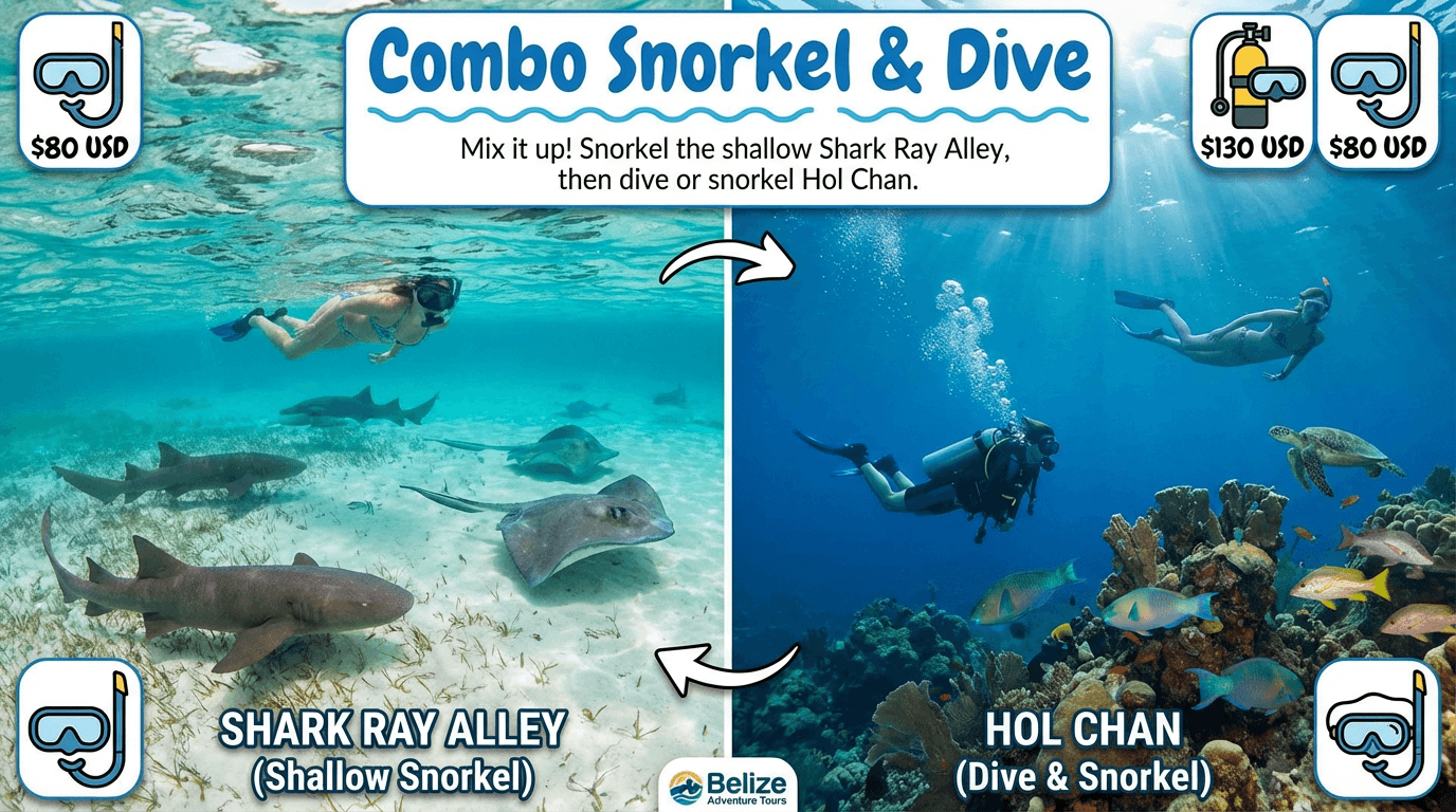 Combo Snorkel & Dive ??? Shark Ray + Hol Chan