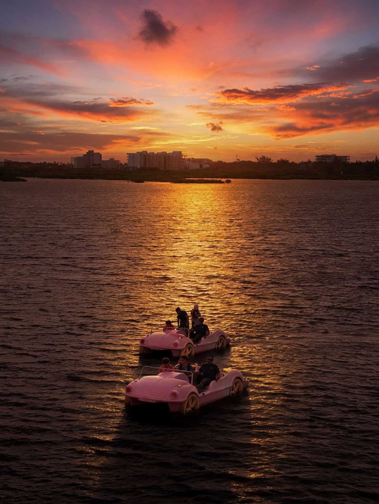 Paddle Car Boat