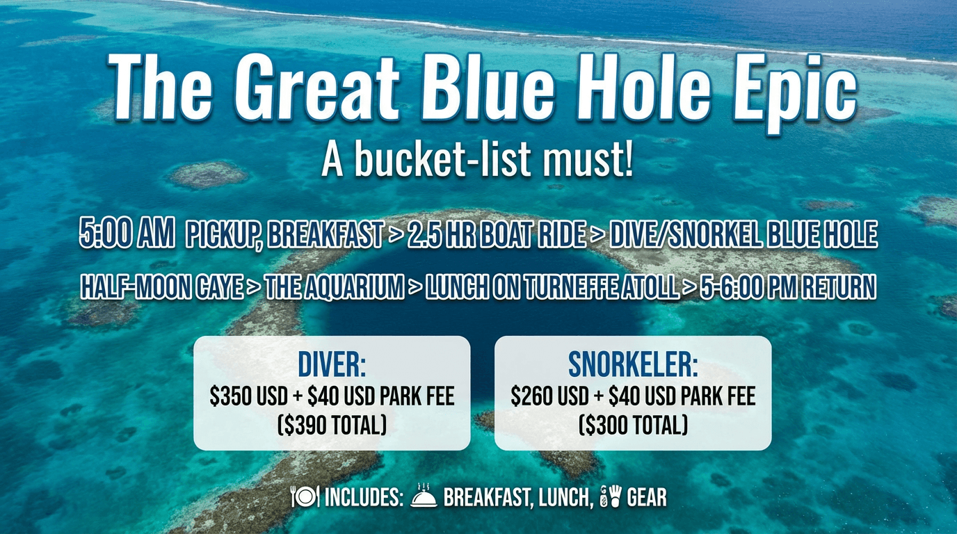 The Great Blue Hole ??? Epic Full-Day Dive