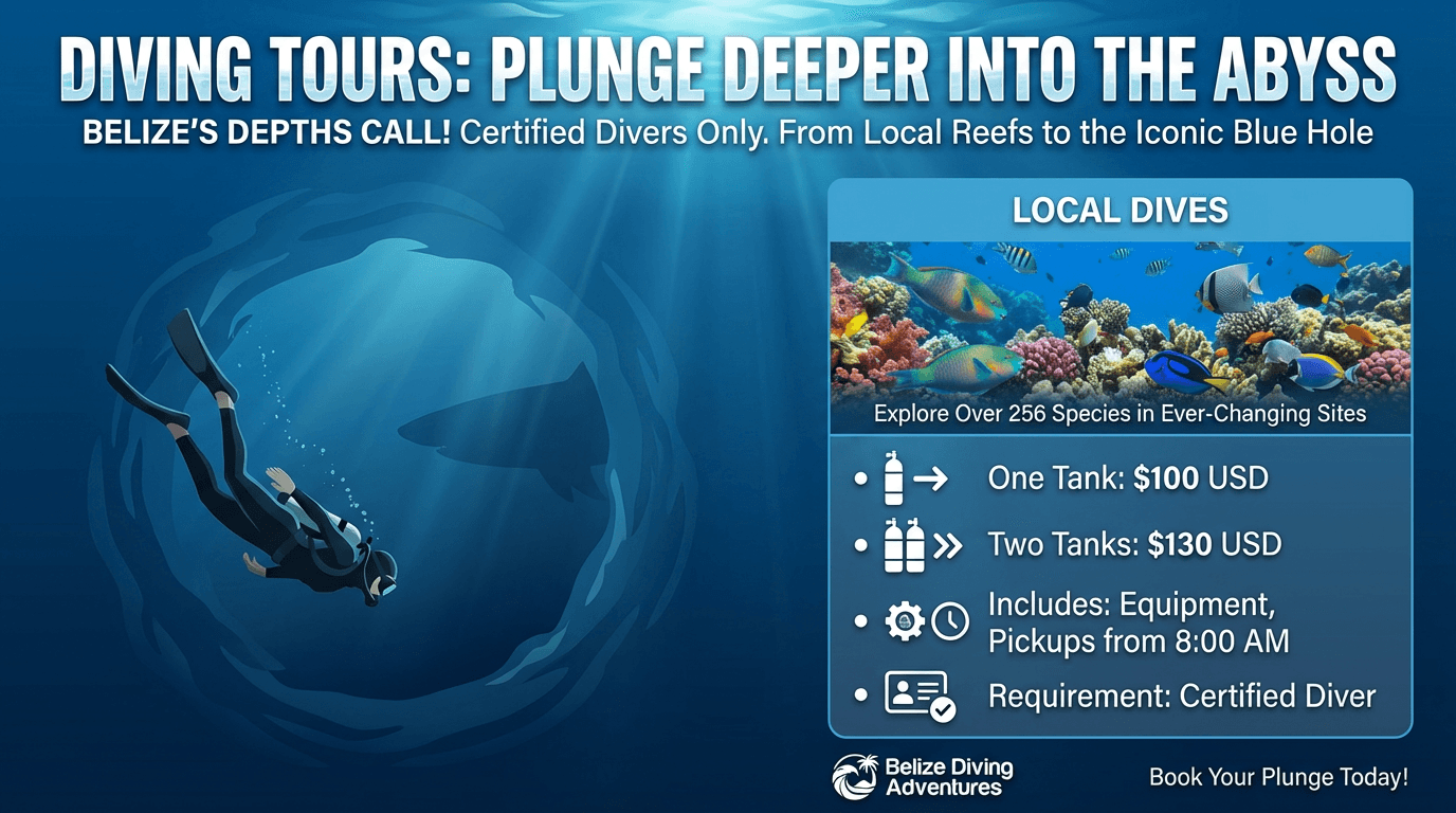 Local Reef Diving ??? One or Two Tanks